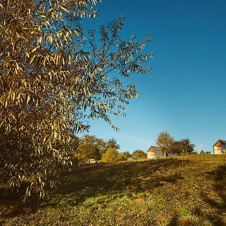 Scandinave Chalet Bran Zărneşti Εξωτερικό φωτογραφία