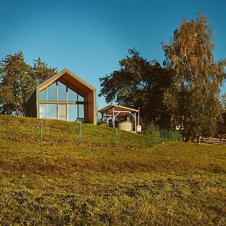 Scandinave Chalet Bran Zărneşti Εξωτερικό φωτογραφία