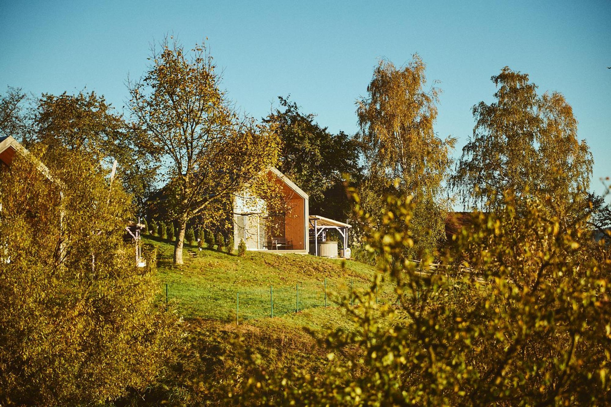 Scandinave Chalet Bran Zărneşti Εξωτερικό φωτογραφία