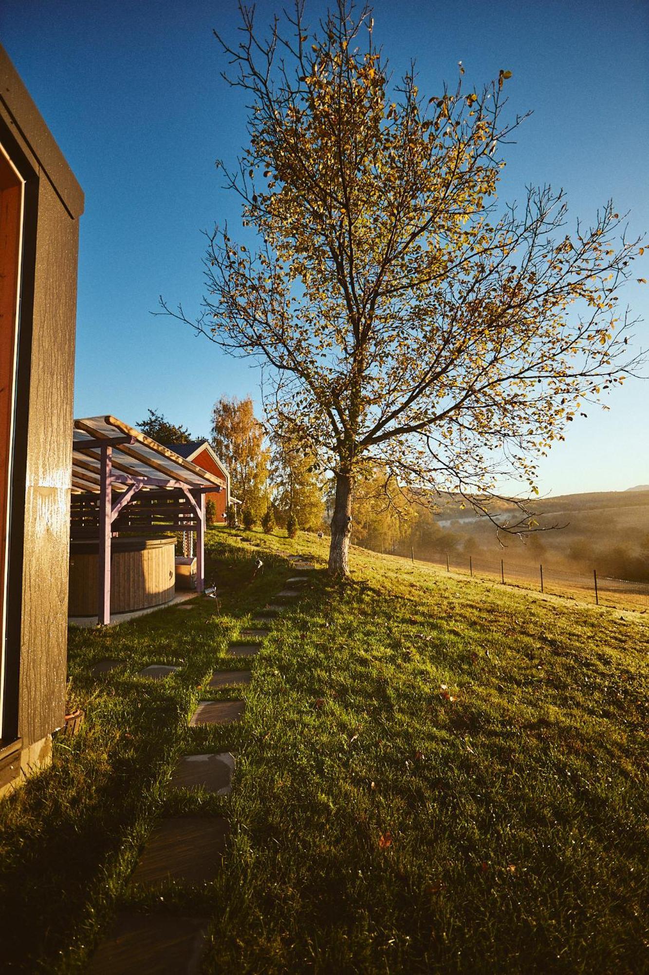 Scandinave Chalet Bran Zărneşti Εξωτερικό φωτογραφία