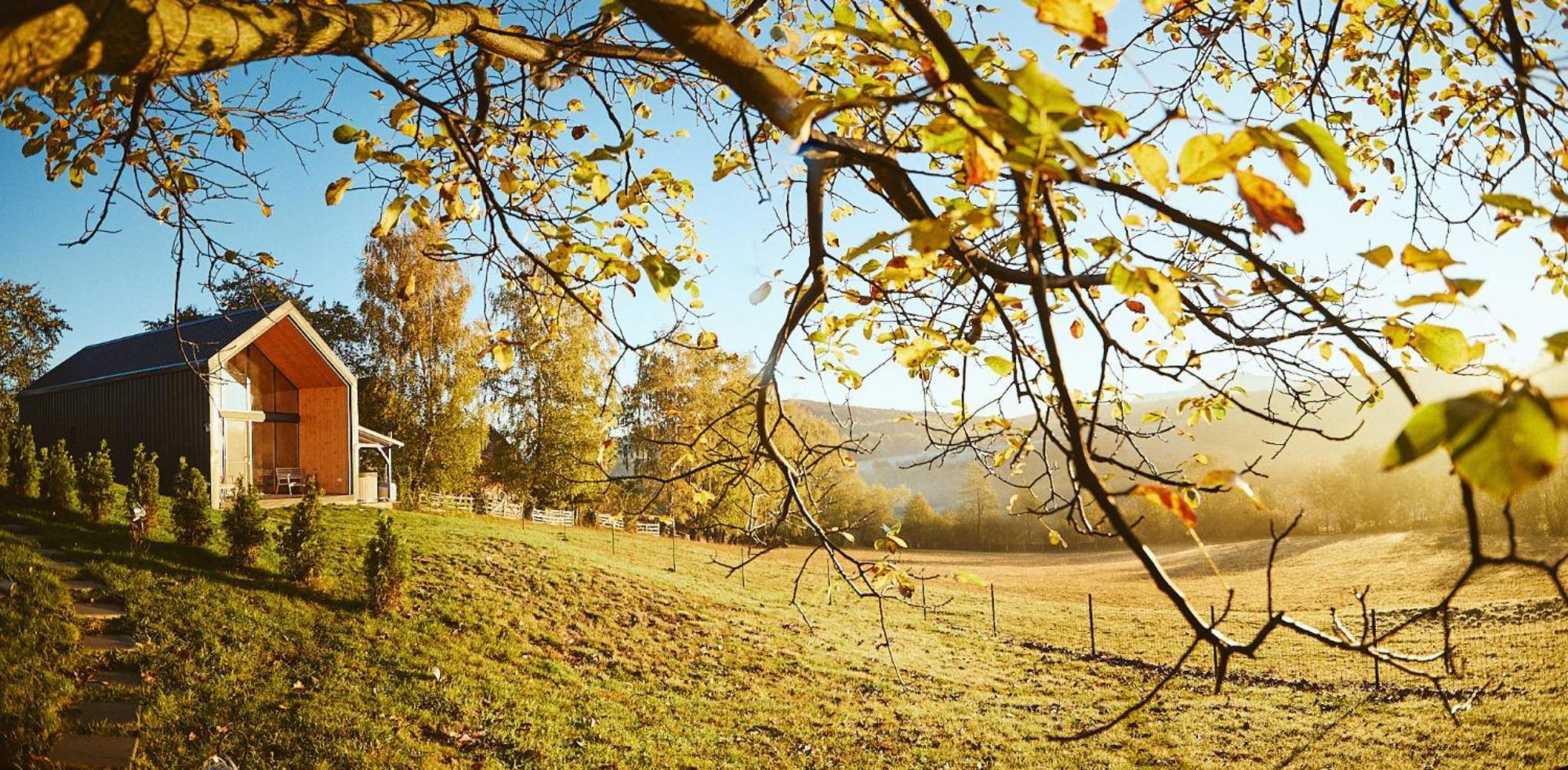 Scandinave Chalet Bran Zărneşti Εξωτερικό φωτογραφία