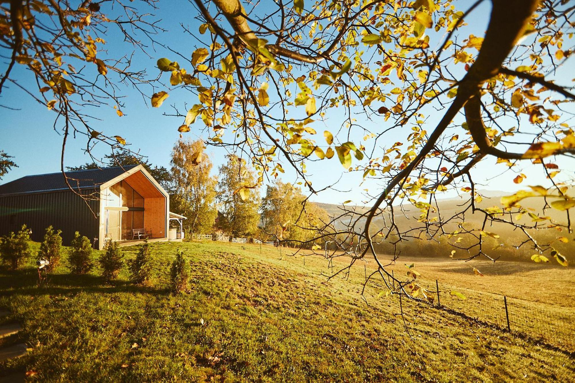 Scandinave Chalet Bran Zărneşti Εξωτερικό φωτογραφία