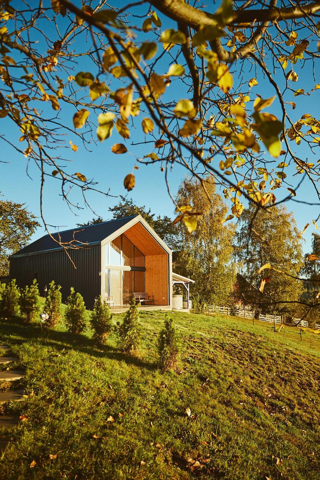 Scandinave Chalet Bran Zărneşti Εξωτερικό φωτογραφία