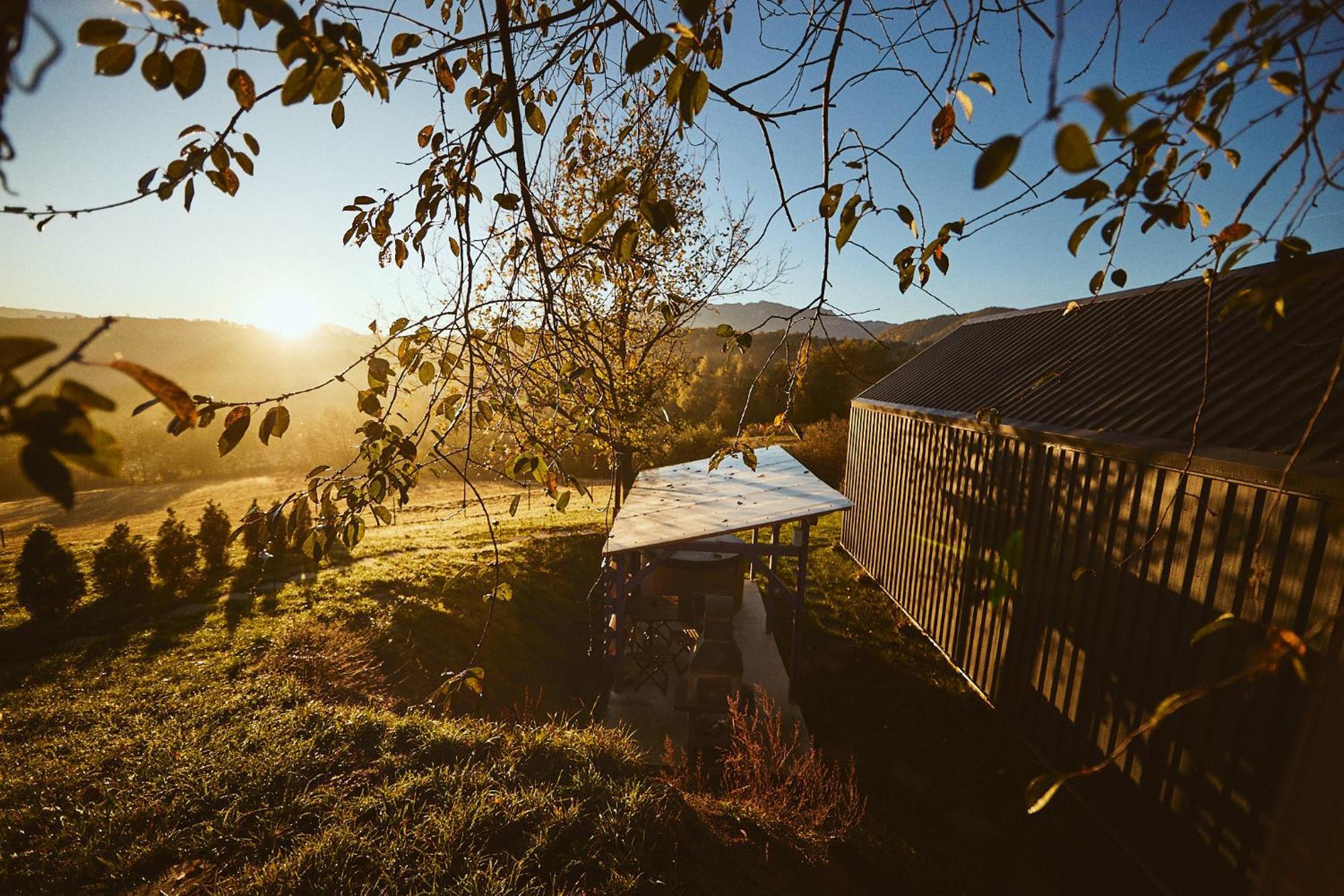 Scandinave Chalet Bran Zărneşti Εξωτερικό φωτογραφία