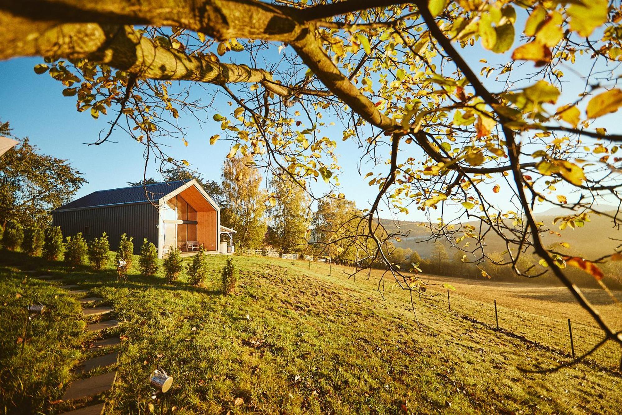Scandinave Chalet Bran Zărneşti Εξωτερικό φωτογραφία