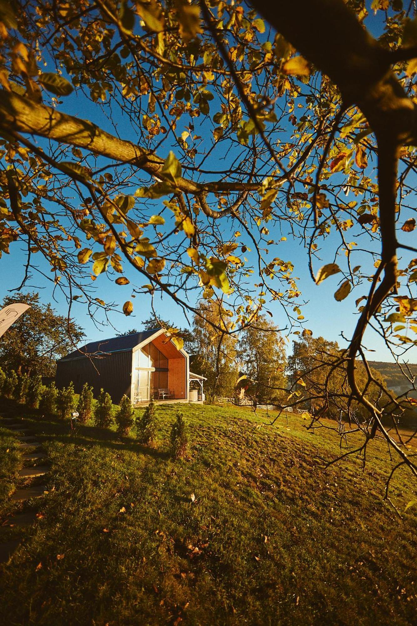 Scandinave Chalet Bran Zărneşti Εξωτερικό φωτογραφία