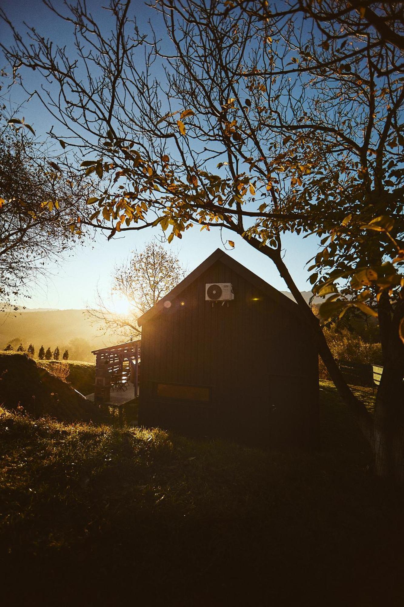 Scandinave Chalet Bran Zărneşti Εξωτερικό φωτογραφία