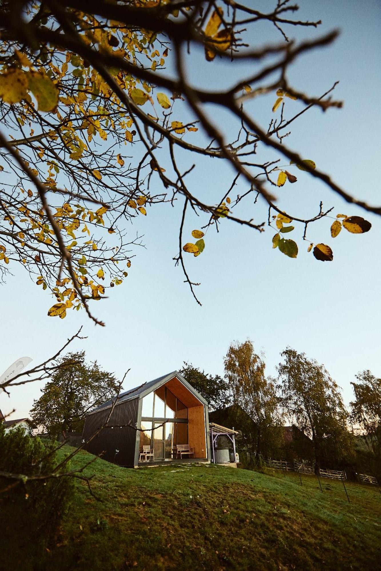 Scandinave Chalet Bran Zărneşti Εξωτερικό φωτογραφία